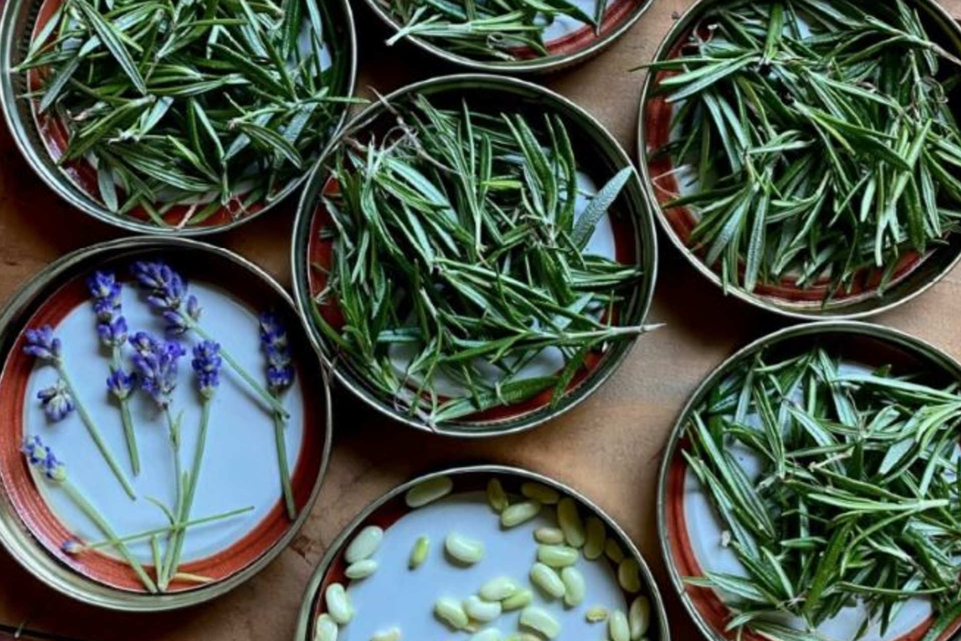 lidherbs